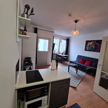 Black Beauty Im Zentrum Von * Osnabrück