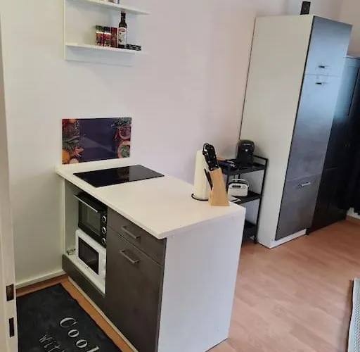 Appartement Black Beauty Im Zentrum Von